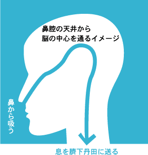 息を臍下丹田に送る